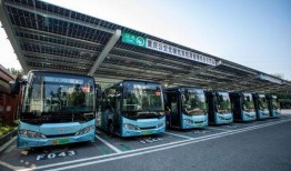 重庆公交圈内爆料,揭秘公交司机不为人知的日常与挑战