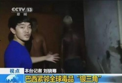 巴西小哥爆料至臻视频大全,至臻视频大全背后的精彩故事